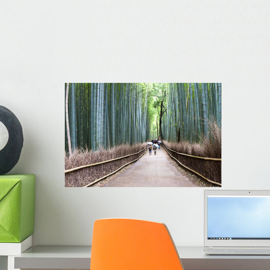 Bamboo Forest Kyoto Japan