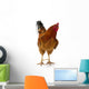 Beautiful Rooster White