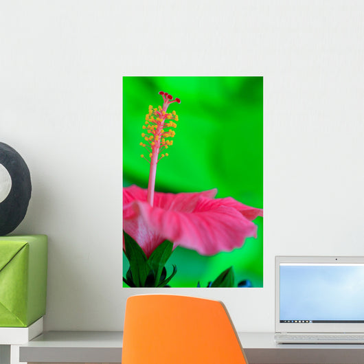 Hibiscus flower detail Wall Mural
