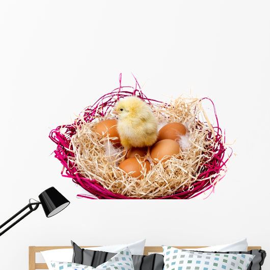 Little Chicken Nest and Wall Mural
