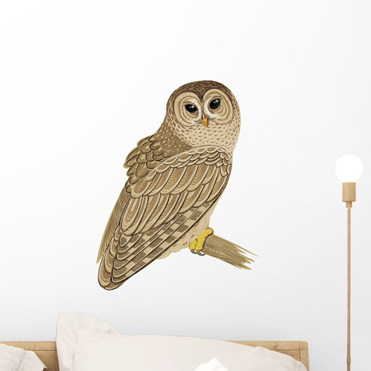 Barred Owl Wall Decal