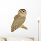Barred Owl Wall Decal