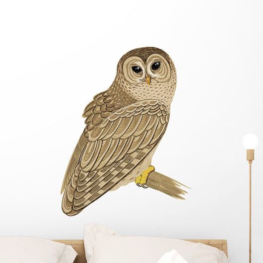 Barred Owl Wall Decal