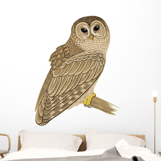 Barred Owl Wall Decal