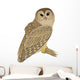 Barred Owl Wall Decal