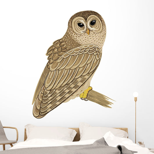 Barred Owl Wall Decal