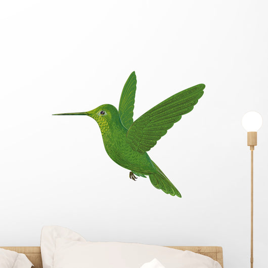 Hummingbird