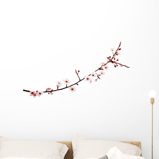 cherry blossoms branch Wall Decal