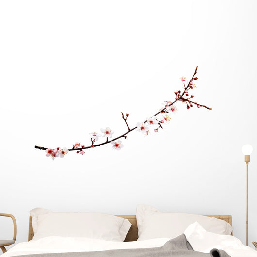 cherry blossoms branch Wall Decal