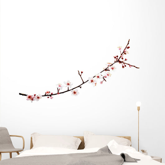 cherry blossoms branch Wall Decal