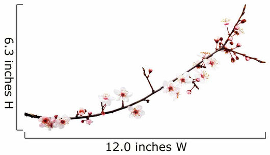 cherry blossoms branch Wall Decal
