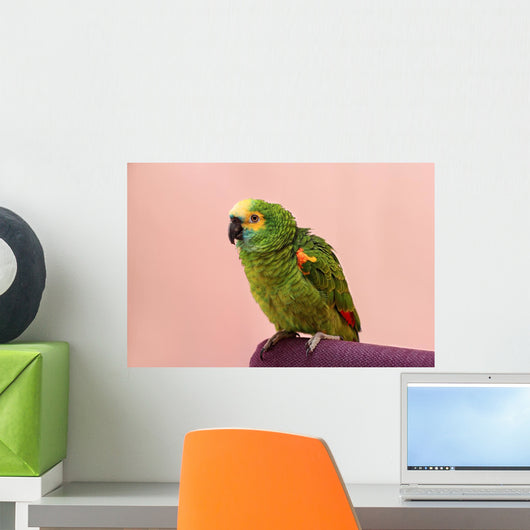 Blue Front Amazon Wall Mural