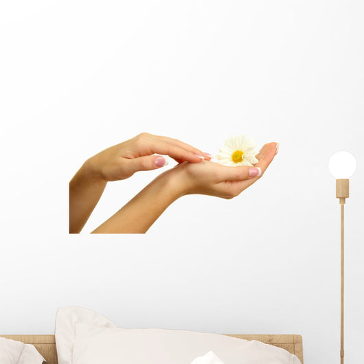 Beautiful woman hands with camomile, isolated on white Wall Decal
