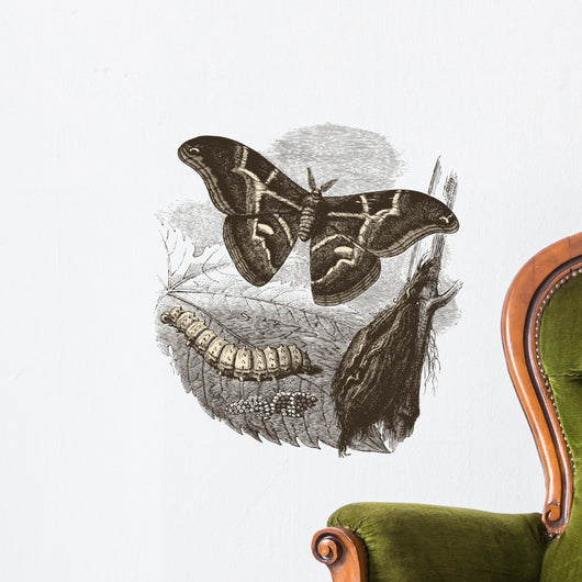 Papillon Bombyx Wall Decal