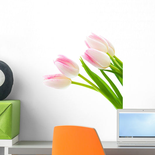 Pink Tulips