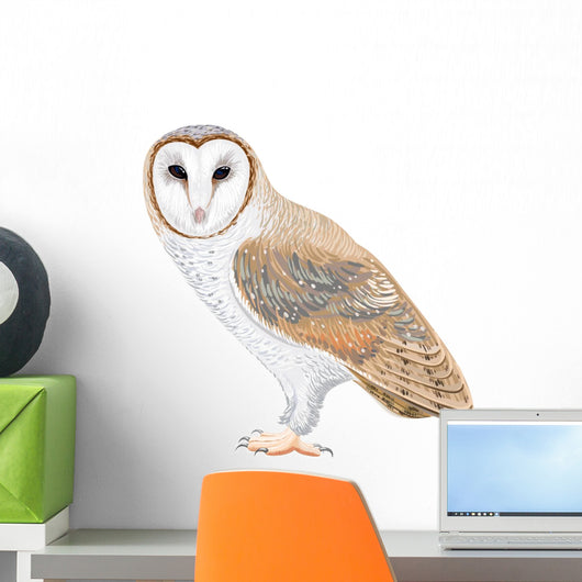 Barn Owl Wall Decal
