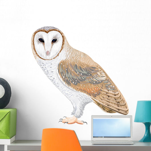 Barn Owl Wall Decal