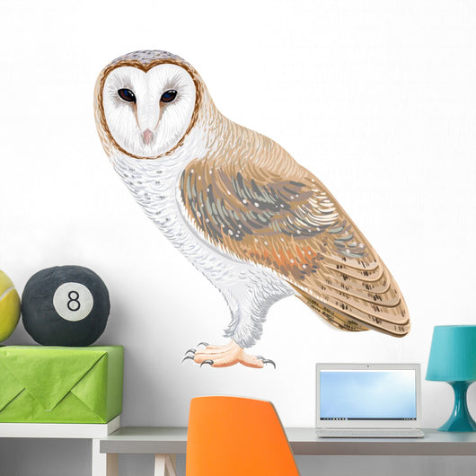 Barn Owl Wall Decal