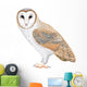 Barn Owl Wall Decal