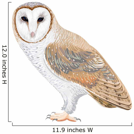 Barn Owl Wall Decal