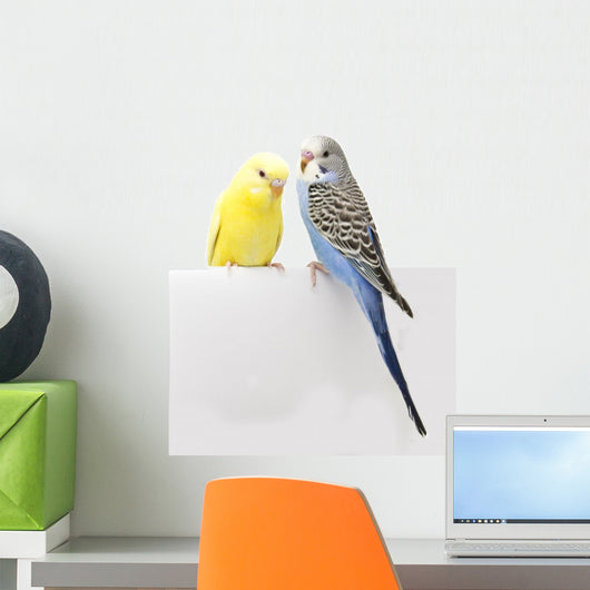 Two Birds Are White
