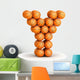 Letter Y Basketball Wall Mural