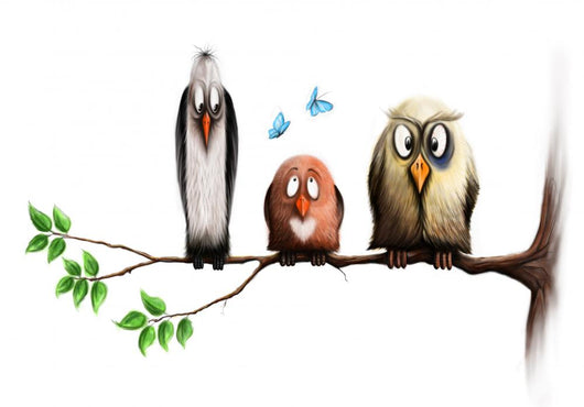 Birds Wall Mural