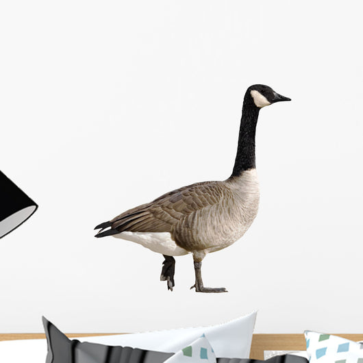 Canada Goose Wall Decal