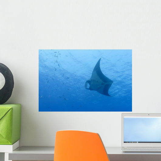Manta Deep Blue Sea Wall Mural