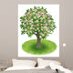 Blossoms Tree Green Field