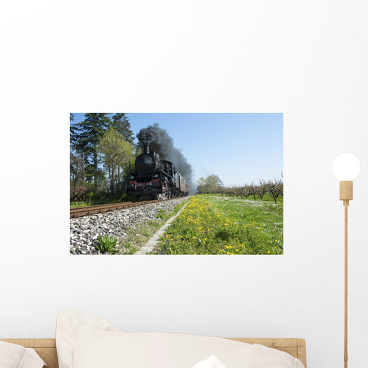 Steam train and cherry trees Wall Mural