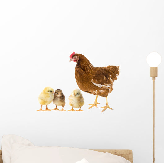 Chickens and Hen Wall Decal