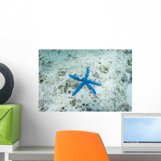 Sea Star