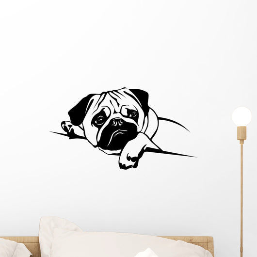 Mops Pug