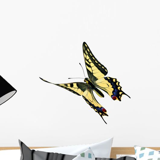 Common Swallowtail Papilio Machaon