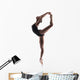 beautiful ballet dancer isolated Wall Decal