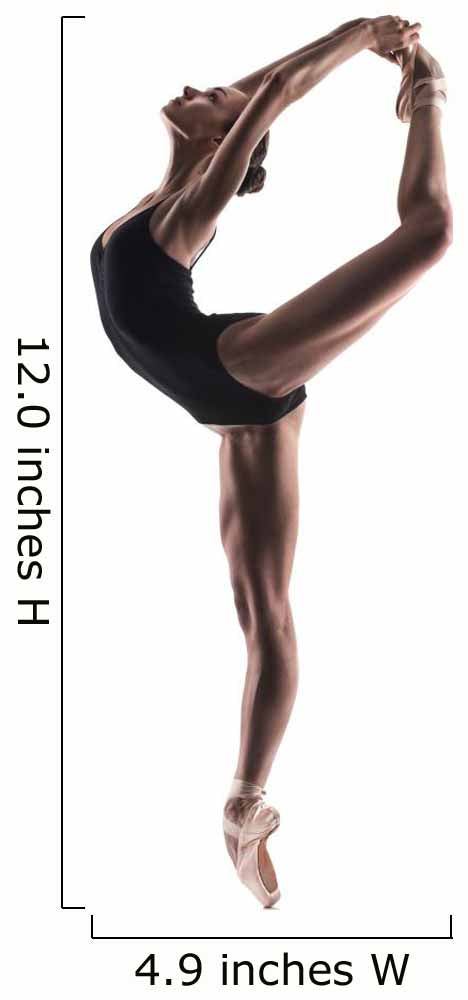 beautiful ballet dancer isolated Wall Decal
