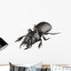 Beetle Species Lucanus Cervus Wall Decal