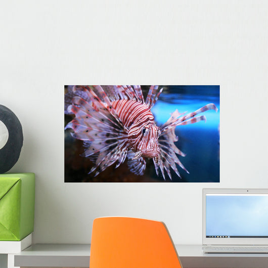Lion Fish Wall Mural