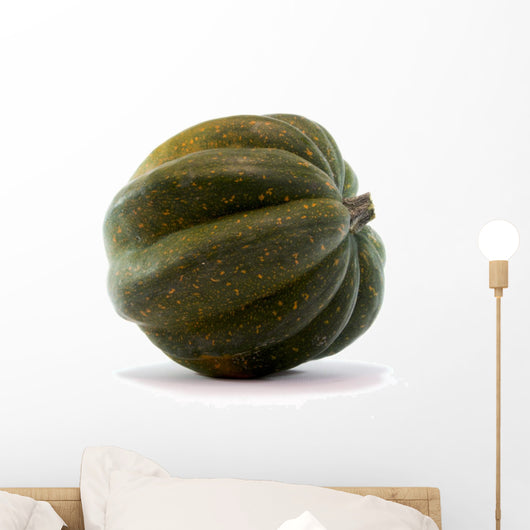 Acorn Squash White
