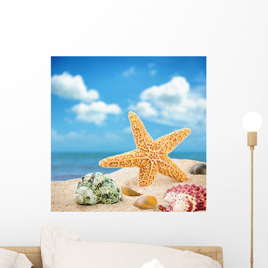 Sea Star and Colorful