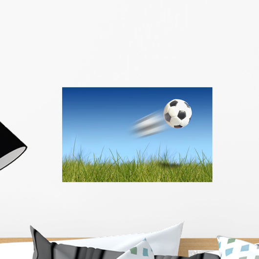 Flying ball Wall Mural