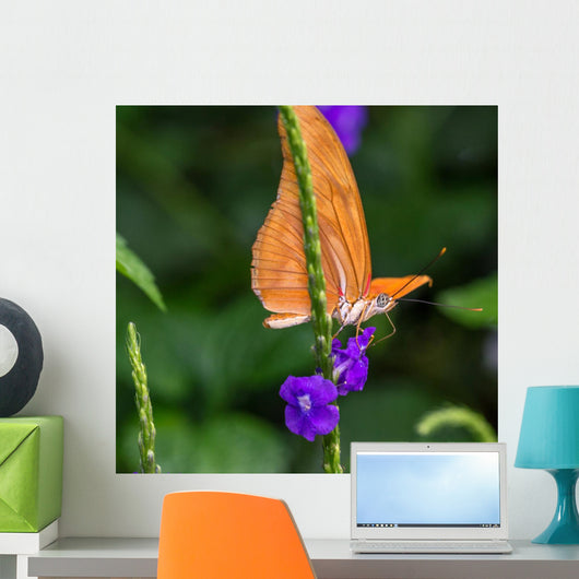 Julia Butterfly Wall Mural