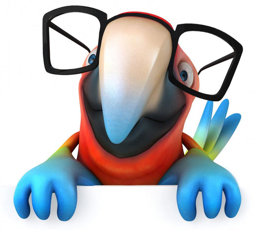 Fun Parrot