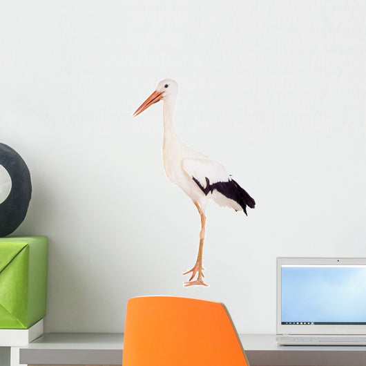 White Stork - Ciconia ciconia. Isolated on white. Wall Decal
