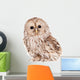 Ural Owl (Strix uralensis), isolated on white Wall Decal