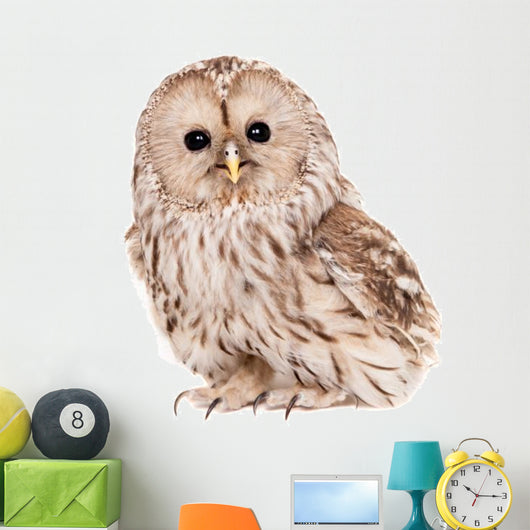 Ural Owl (Strix uralensis), isolated on white Wall Decal