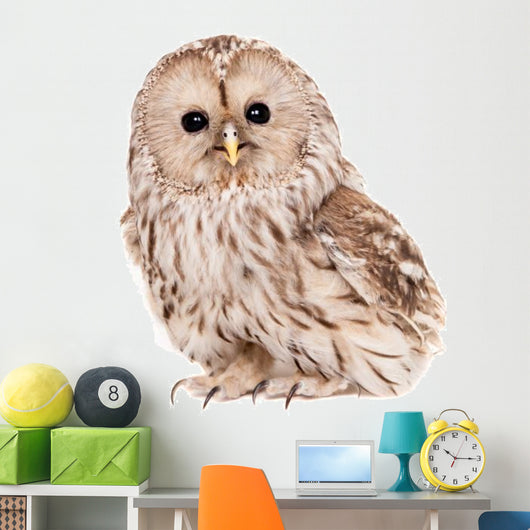 Ural Owl (Strix uralensis), isolated on white Wall Decal