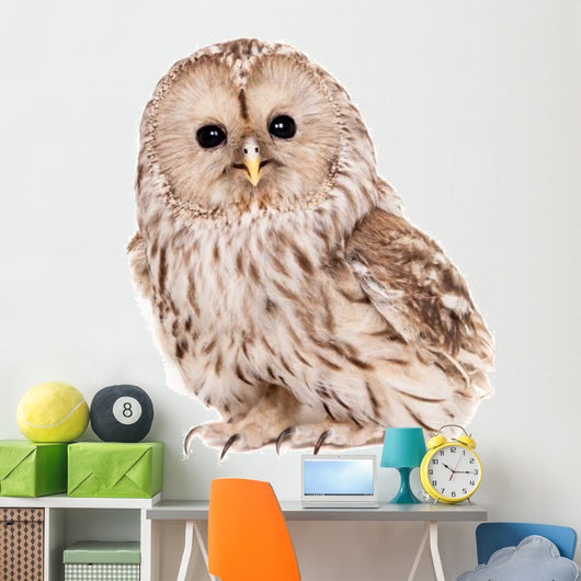 Ural Owl (Strix uralensis), isolated on white Wall Decal