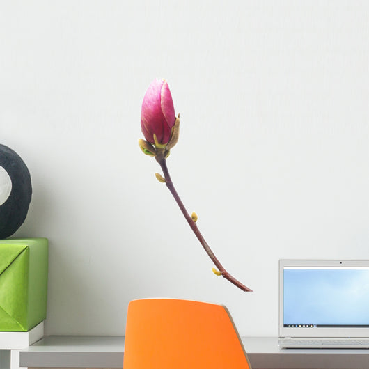 Magnolia Wall Decal